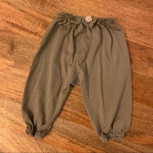 Chasing windmills merino wool pants